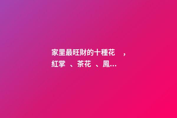 家里最旺財的十種花，紅掌、茶花、鳳梨花等